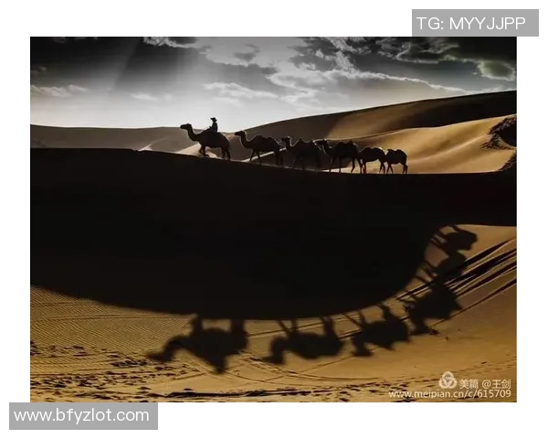 成都排球队的崛起之路：全国锦标赛背后的奋斗与坚持